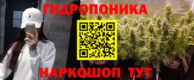 mdpv Брянск
