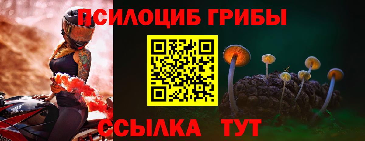 Псилоцибиновые грибы GOLDEN TEACHER Камышин