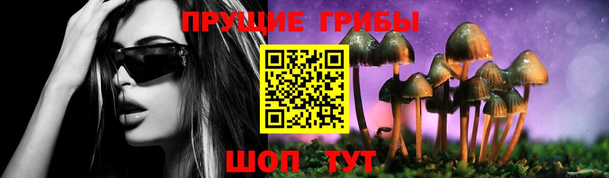 Камышин  Галлюциногенные грибы Psilocybine cubensis  даркнет сайт  Псилоцибиновые грибы ЛСД  Вход с VPN 